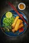 Spring rolls with salad and a dip — Stock Photo