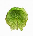 Two Fresh Savoy Cabbage Leaves on White — Stock Photo