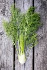 Fresh fennel bunch on rustic wooden surface — Stock Photo