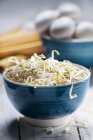 Soybean sprouts in a blue ceramic bowl — Stock Photo
