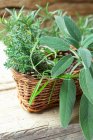 Salvia fresca, timo e rosmarino in un cesto — Foto stock