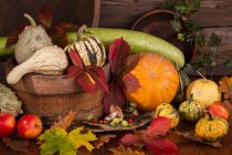 Herbst-Stillleben mit Kürbissen, Kürbissen und Mais — Stockfoto