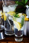 Gin and tonic with lemon, ice cubes and rosemary between bar utensils — Stock Photo