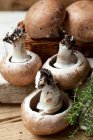 Cogumelos castanhos e tomilho — Fotografia de Stock