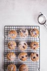Muffin ai mirtilli sulla teglia cosparsa di zucchero a velo — Foto stock