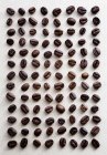 Grãos de café dispostos em uma grade — Fotografia de Stock