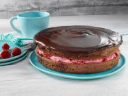 Chocolate raspberry cake close-up view — Stock Photo