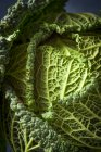 Savoy cabbage (close-up) — Stock Photo