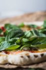 Hausgemachte Pizza mit Tomaten, Bocconcini und Basilikum (Nahaufnahme)) — Stockfoto
