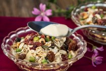 Muesli au yaourt et aux fleurs de mauve — Photo de stock