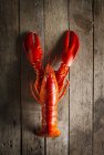 Cooked lobster on a wooden table — Stock Photo
