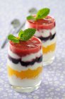 Panna Cotta Arlequin (Panna cotta with different layers of fruit) — Stock Photo