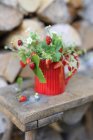 Galhos morangos em um jarro vermelho em um banquinho de madeira — Fotografia de Stock