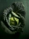 Vista de close-up de couve lombarda fresca — Fotografia de Stock