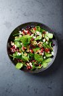 Салат из шпината с сушеной клюквой, семенами граната и жареными орехами — стоковое фото