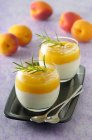 Panna cotta with apricot pure and rosemary — Stock Photo