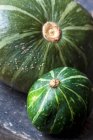 Two organic winter gourds — Stock Photo