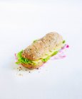Сэндвич с сыром и салатом — стоковое фото