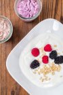 Yoghurt with oatmeal and fresh berries — Stock Photo