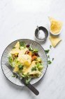 Салат из тако с фасолью, курицей и начос — стоковое фото