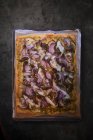 A duck and onion pizza — Stock Photo