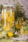 Домашний цветущий лимонад бузины — стоковое фото