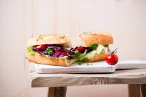 Baguette with salad (iceberg lettuce, red cabbage, lamb's lettuce, tomatoes, cress) — Stock Photo