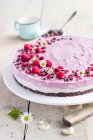 Raw cheesecake with a cashew and raspberry cream — Stock Photo