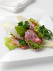 Тарілка качиного салату на білому — стокове фото