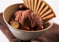 Un tazón de helado de chocolate doble con oblea - foto de stock