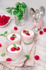 Vanilla yoghurt and raspberry yoghurt with fresh raspberries and mint — Stock Photo