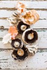 Various fresh mushrooms on weathered wood — Stock Photo