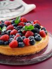 Cheesecake with summer fruit — Stock Photo