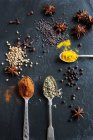 Vários temperos em uma chapa de ardósia: pimentas, cominho, anis estrelado, semente de coentro, açafrão, pimentão, cravo e sementes de mostarda — Fotografia de Stock