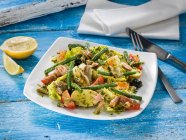 Gros plan sur la délicieuse salade Nicoise — Photo de stock