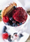 Glass of berries sorbet with raspberries, blueberries and cookie — Stock Photo