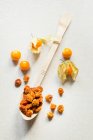 Fresh and dried physalis — Stock Photo