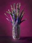 Lance di asparagi freschi in un bicchiere su uno sfondo rosso-viola — Foto stock