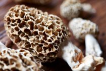 Крупным планом вкусные грибы Мореля (крупный план)) — стоковое фото