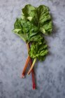 Tiges de rhubarbe avec feuilles — Photo de stock