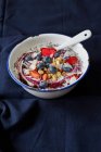 Kokosjoghurt mit Blaubeeren, getrockneten Erdbeeren, gerösteten Nüssen und Kokosraspeln — Stockfoto