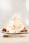 Close-up shot of delicious Baked Alaska with chocolate — Stock Photo