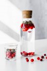 Infused water with cranberry and purple basil — Stock Photo