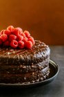 Chocolate layer cake with dulce de leche, butter cream, ganache and raspberries — Stock Photo