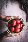 Mãos segurando cesta com ovos vermelhos — Fotografia de Stock