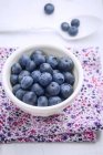 Fresh Blueberries in a White Ceramic Bowl on a Floral Napkin — Stock Photo