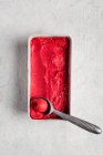 Sorbetto al lampone con uno scoop di gelato in un piatto di plastica — Foto stock