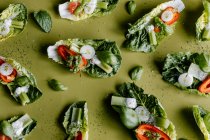 Romaine Salat Bissgröße Snacks mit Kirschtomaten, Paprika, Sellerie, Zwiebeln und griechischem Joghurt Dressing — Stockfoto