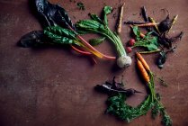 Carrots, radishes, turnips, beetroots and rhubarb — Stock Photo