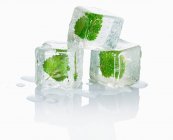 Tres cubitos de hielo con melisa - foto de stock